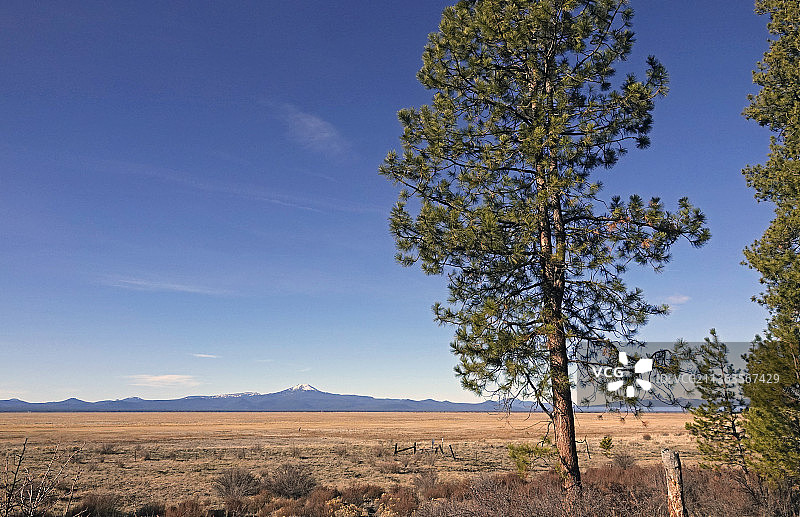 克拉马斯沼泽国家野生动物保护区图片素材