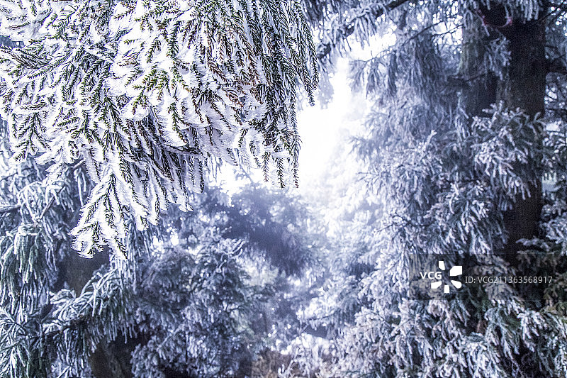 湖南衡山冬天的雾凇图片素材