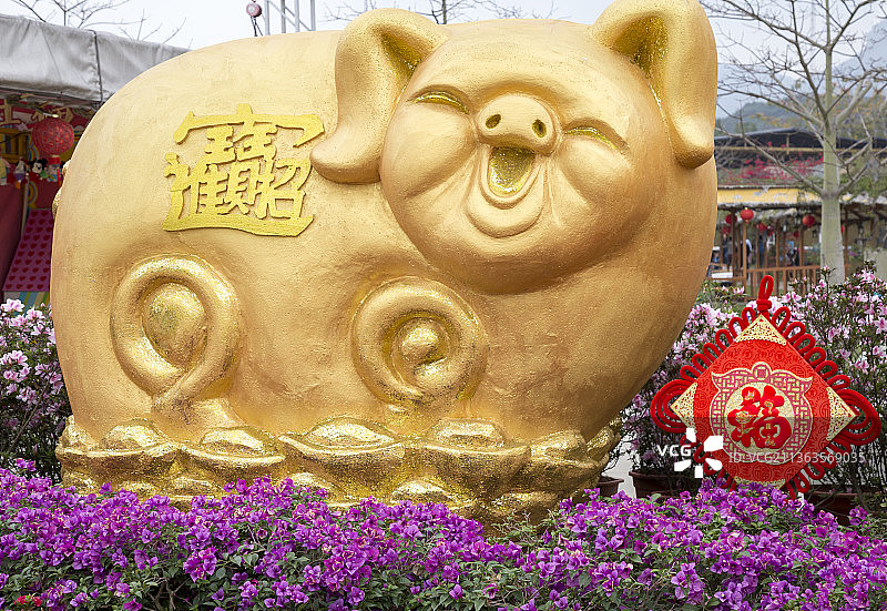 大型金猪装饰特写图片素材