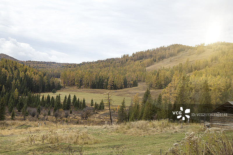 中国新疆喀纳斯禾木村户外高山原生态风光图片素材