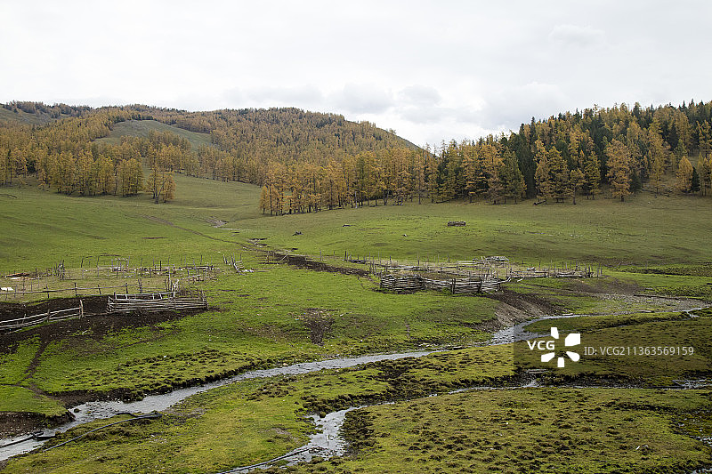 中国新疆喀纳斯禾木村户外高山原生态风光图片素材