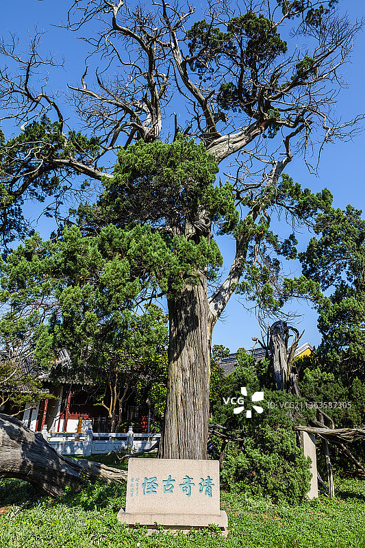 江苏苏州司徒庙图片素材