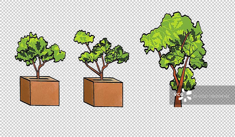 绿色绿化环境环保植物 树草木图片素材