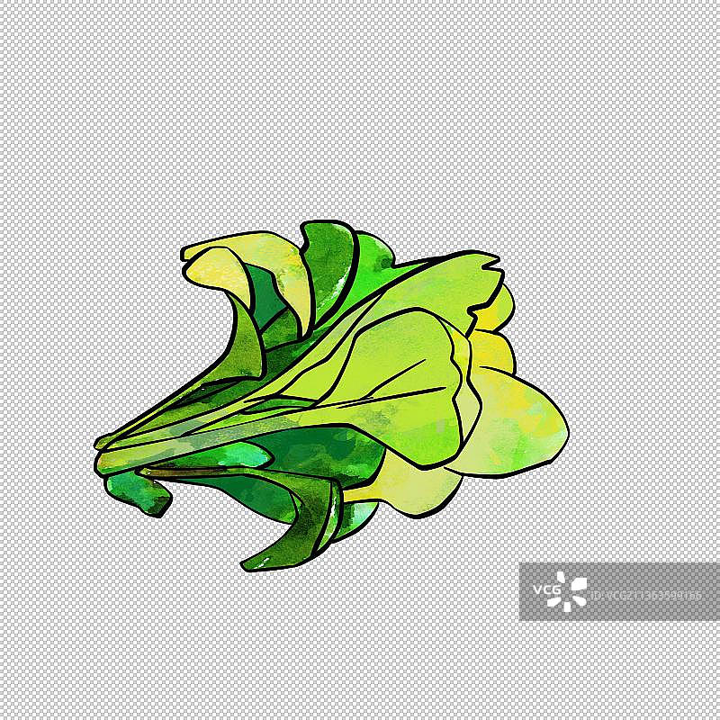 蔬菜 绿色绿化环境环保植物 树草木图片素材