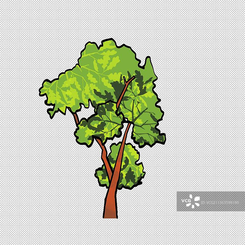 行道树 绿色绿化环境环保植物 树草木图片素材