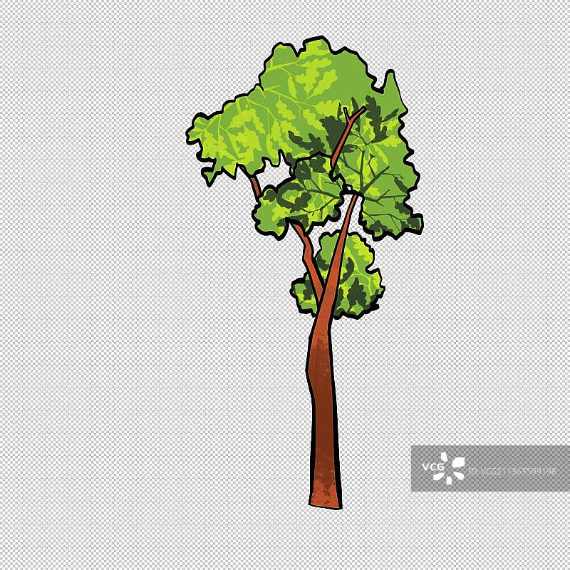 行道树 绿色绿化环境环保植物 树草木图片素材