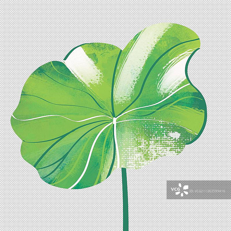 荷叶莲叶 植物环保 自然景色户外风光 山水 中国风旅游环境图片素材