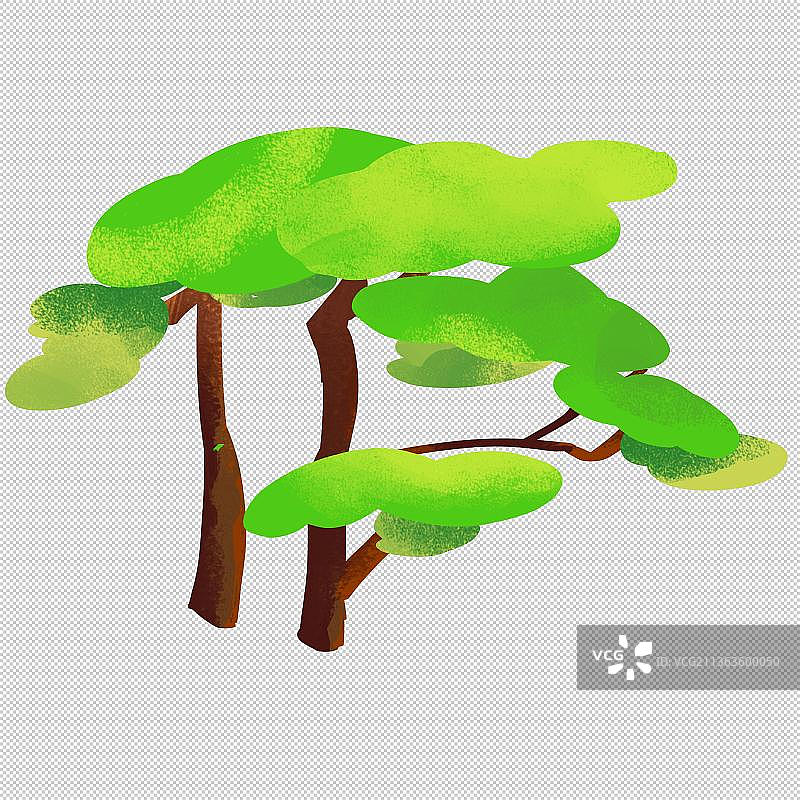 松树 植物环保 自然景色户外风光 山水 中国风旅游环境图片素材