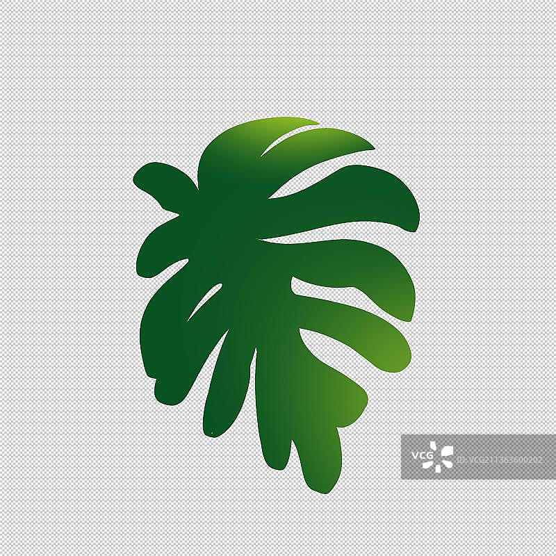 龟背竹 植物环保 自然景色户外风光 中国风旅游环境图片素材