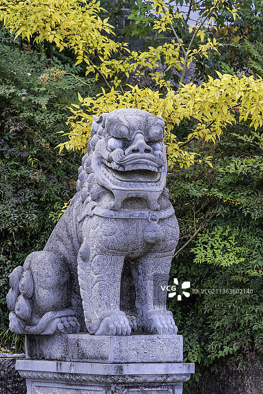 中国云南省丽江市文昌宫门前的石狮子图片素材