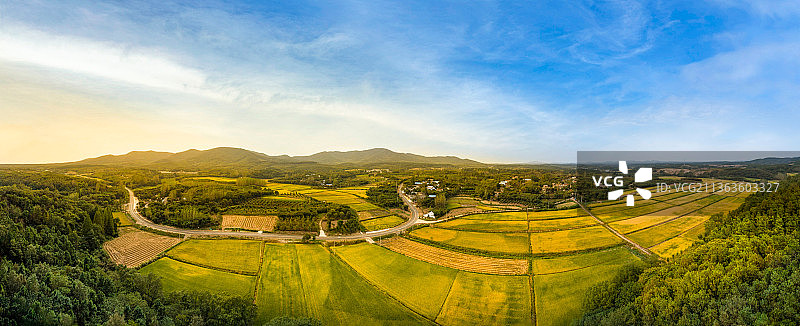 乡村稻田图片素材
