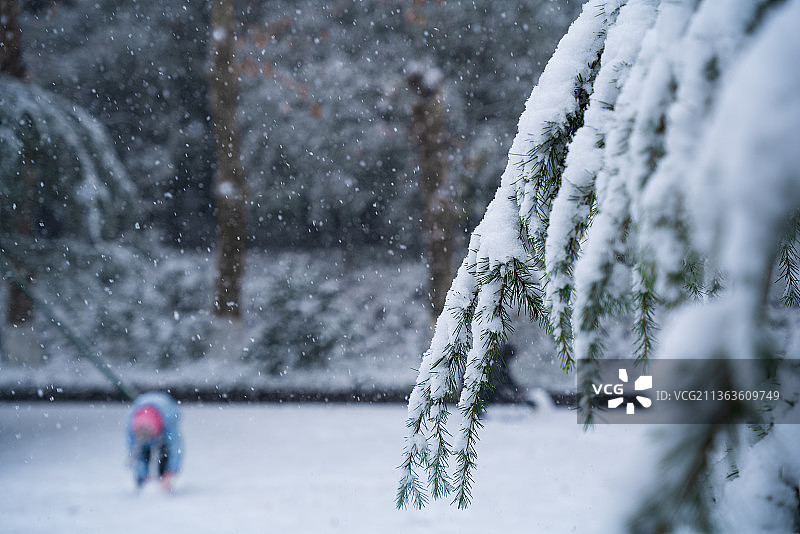 雪中小景图片素材