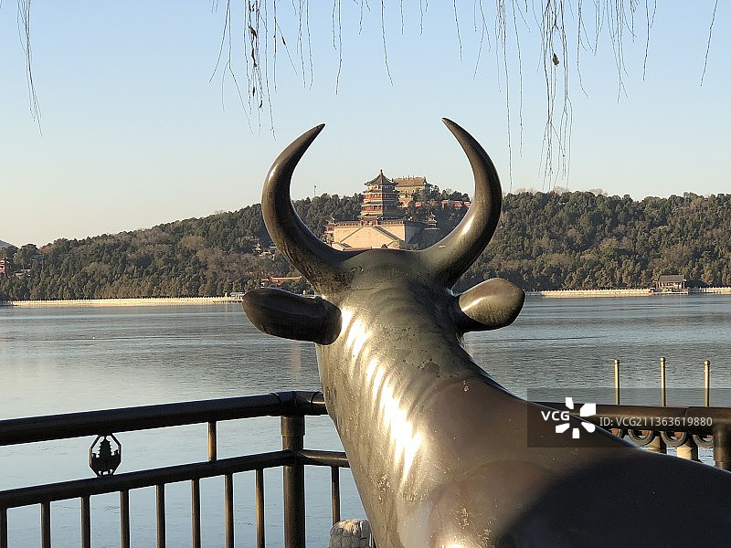 颐和园昆明湖东侧，有一个大铜牛图片素材