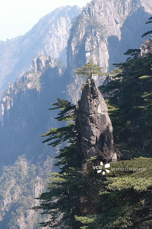 黄山奇松怪石图片素材