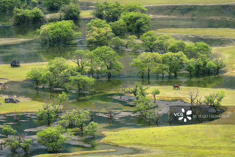 爱在深秋图片素材