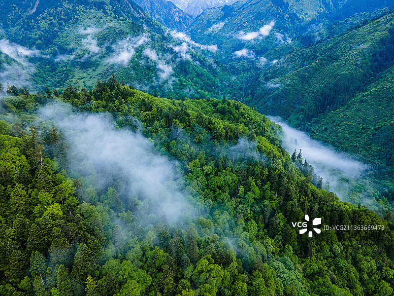 王朗国家自然保护区图片素材