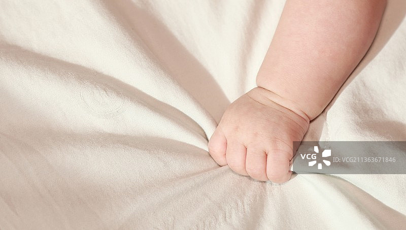 午后阳光中的小手掌图片素材