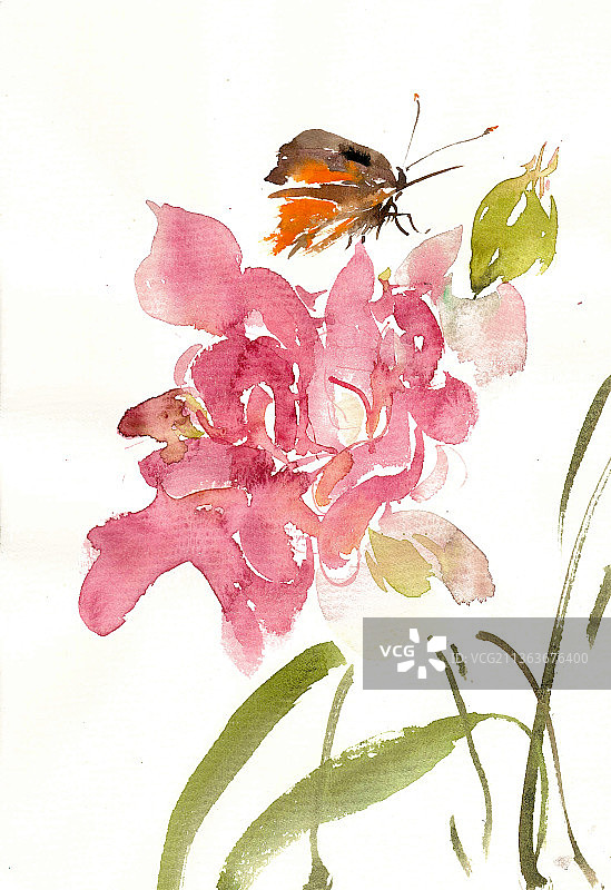 红花与蝴蝶图片素材