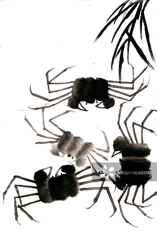 秋季的螃蟹图片素材