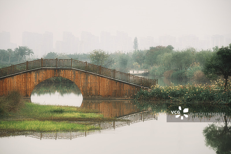 三垟湿地图片素材