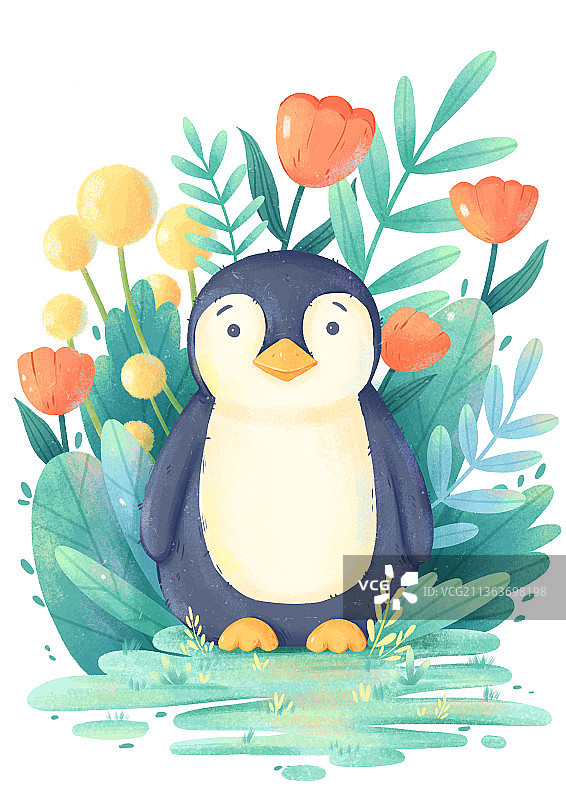轻质感肌理插画动物企鹅植物花卉插画图片素材