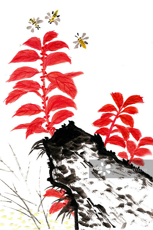 红叶与蜜蜂图片素材