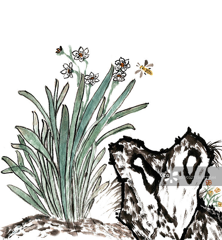 石头旁的水仙图片素材