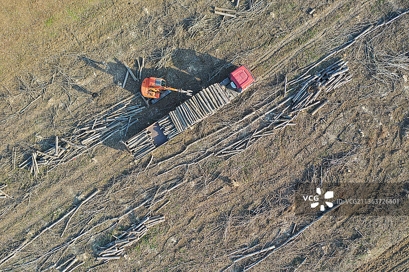 砍伐的木材装卸到平板货车图片素材