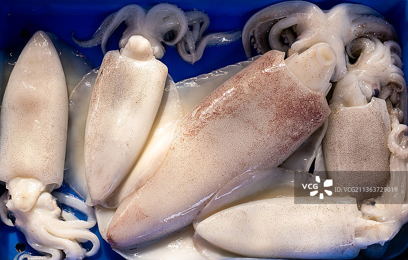 海鲜鱿鱼图片素材