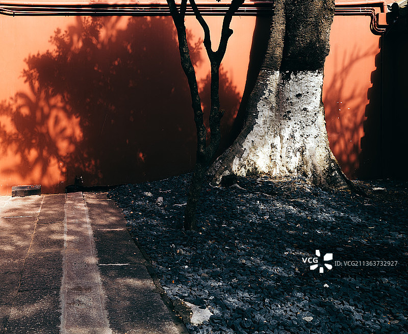 农讲所图片素材