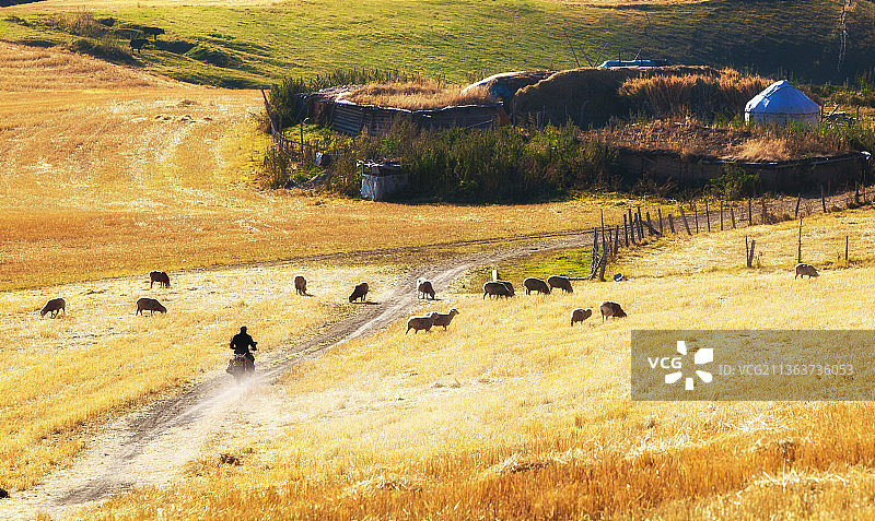江布拉克秋色图片素材
