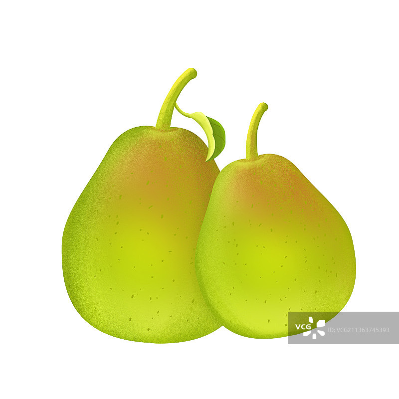 香梨插画雪梨水果手绘元素图片素材