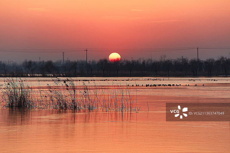 旅游出行冬季江苏沛县安国湿地公园日落图片素材