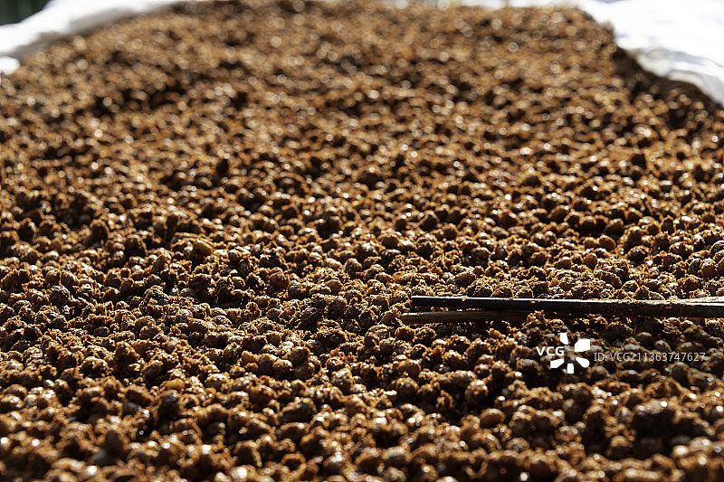 农户自制的豆豉图片素材