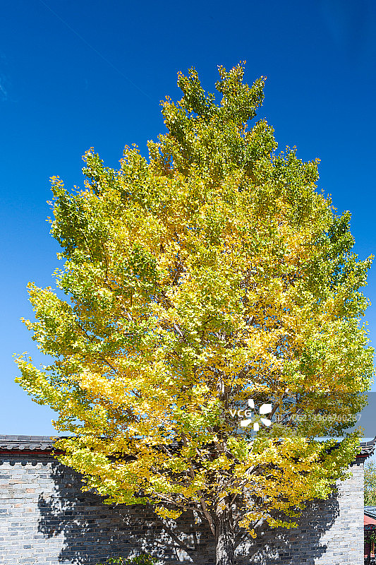 丽江沐王府图片素材