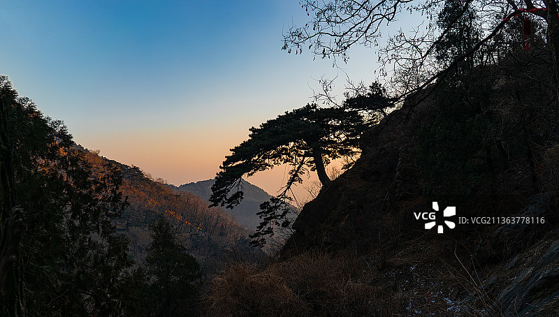 中国山东省泰安市著名旅游景点泰山风景区，山峰上的迎客松剪影图片素材
