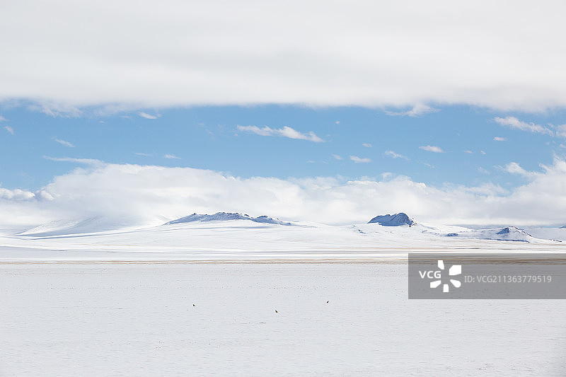 中国西藏阿里地区改则县羌塘草原雪中的风景图片素材
