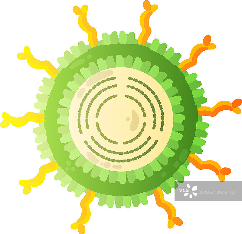 轮状病毒人类病毒组合图片素材