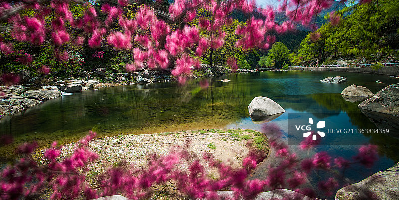 泰山桃花峪图片素材