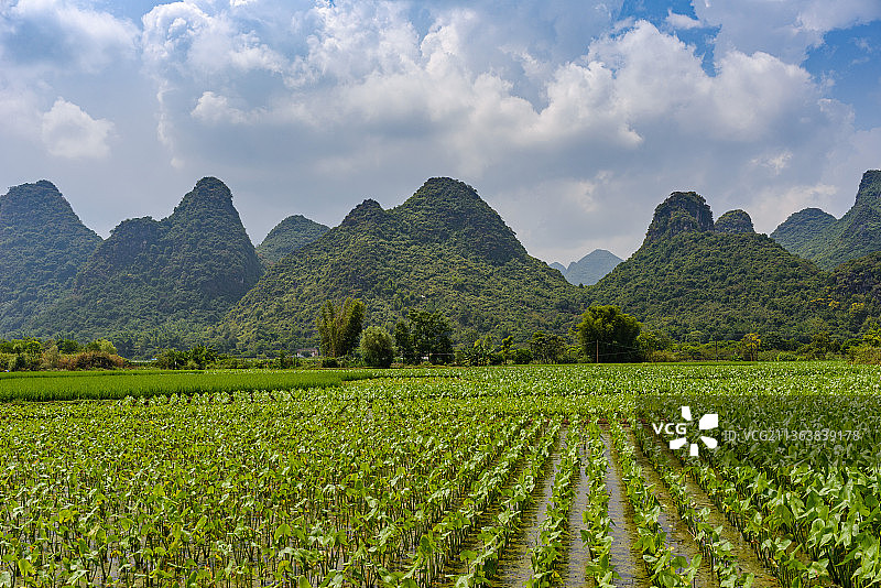 蓝天白云下的青山和田野图片素材
