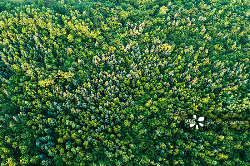 航拍吉林长白山天然矿泉水基地图片素材