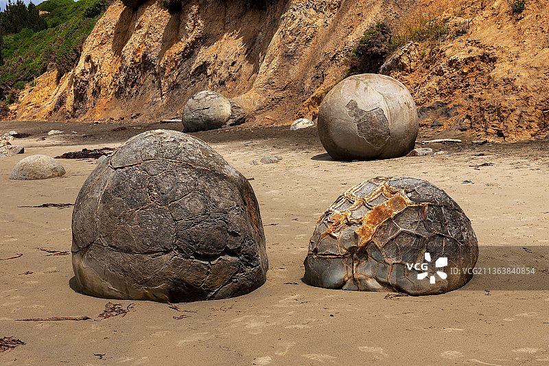 新西兰，摩拉基大圆石。图片素材