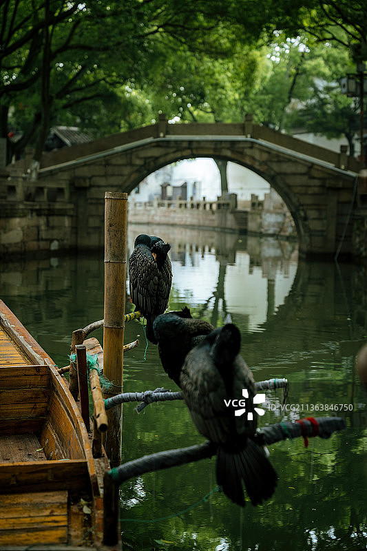 同里古镇图片素材