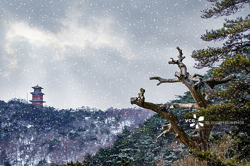 雪后泰山图片素材