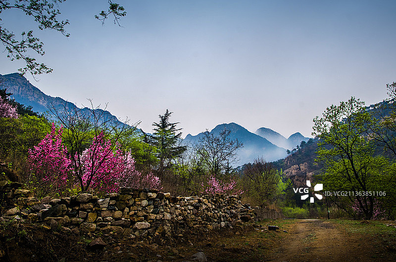 泰山彩石溪十里桃花图片素材