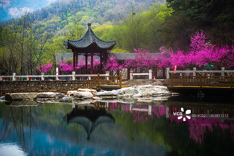 泰山彩石溪十里桃花图片素材