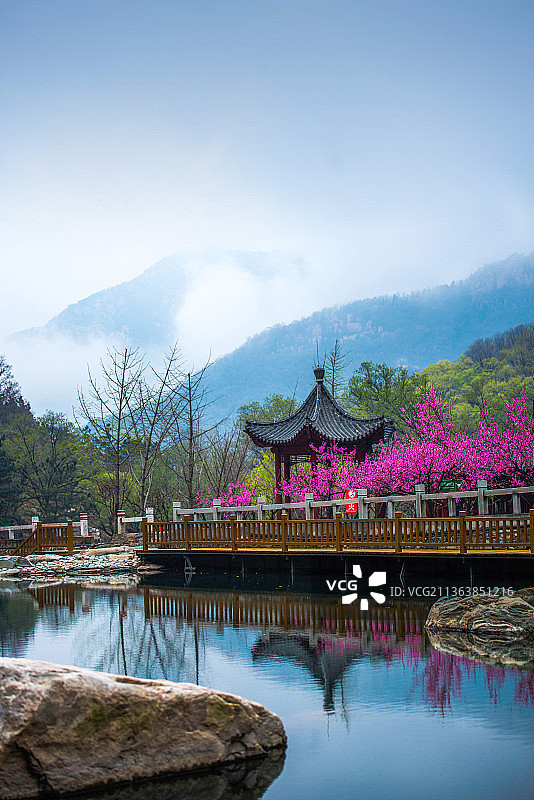 泰山彩石溪十里桃花图片素材