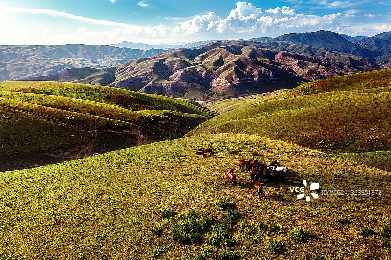 新疆伊犁 精伊牧道上的托乎拉苏大草原 马儿在悠闲的栖息图片素材