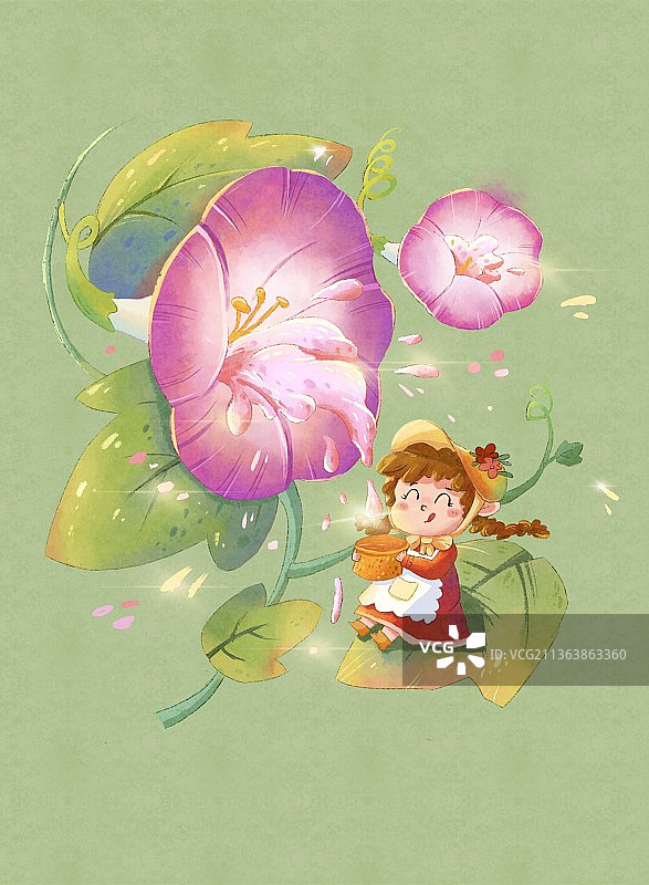 牵牛花图片素材