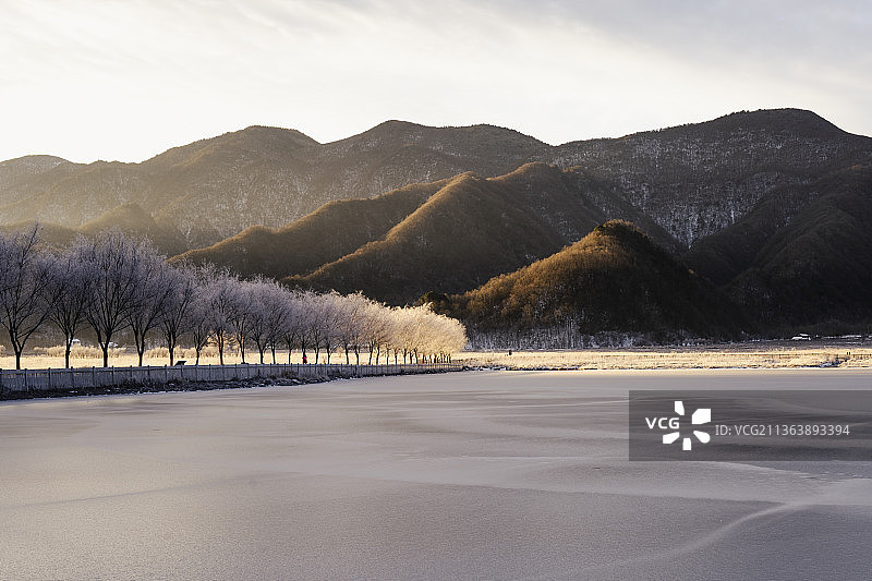 大九湖雾凇图片素材